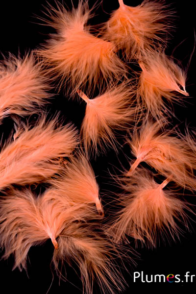 Dinde marabout - 4-7 cm - abricot